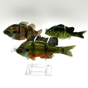 Hand Painted Swimbait Fishing Lures - Realistic Baits - Crappie Bluegill Pumpkinseed - Custom Painted Panfish Swimbait