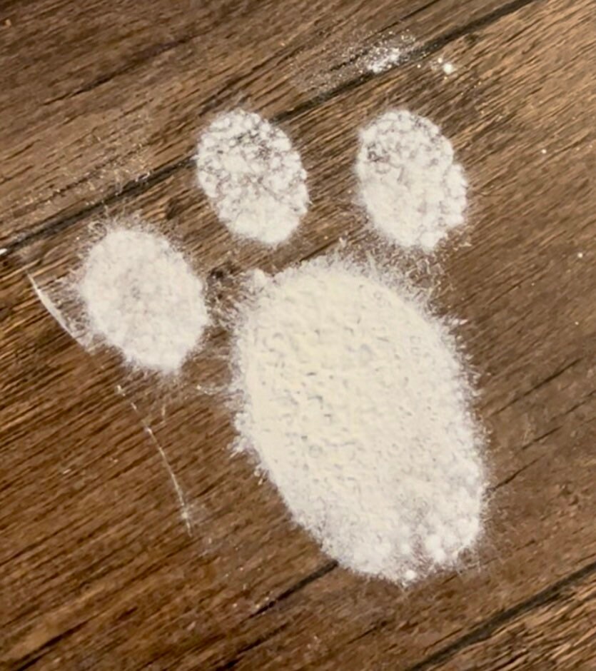 Easter Bunny Tracks Stencil, Easter Bunny Footprint, Foot, Track