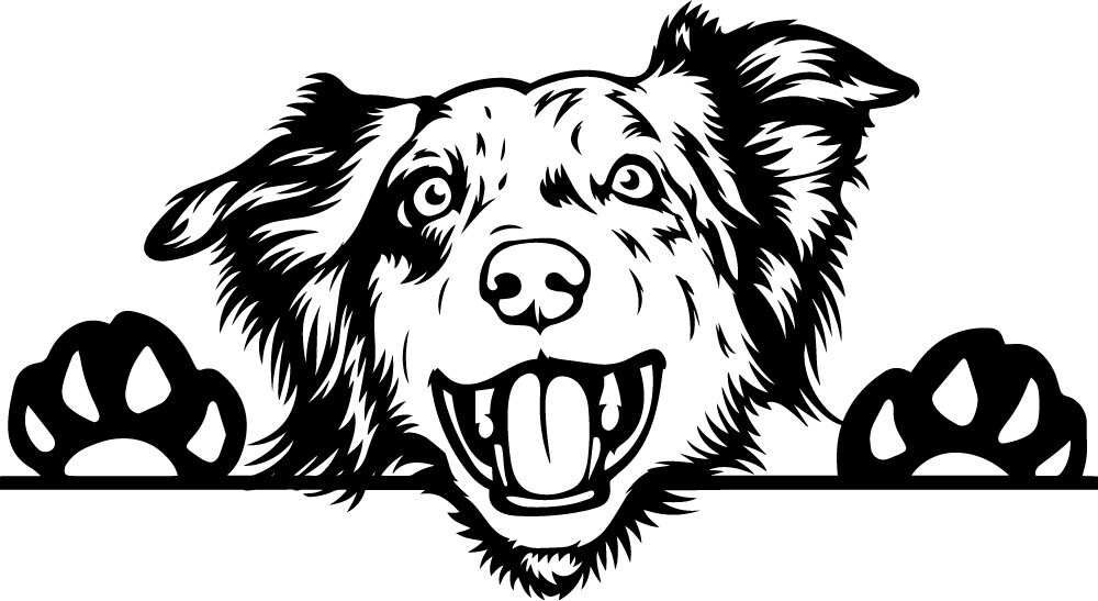 Australian sheperd dog svg file. Aussie dog svg file. | Etsy