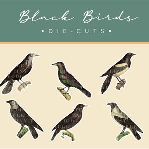 Set of 12 | BLACK BIRDS COLLECTION |  Die Cuts | Card Making Embellishments