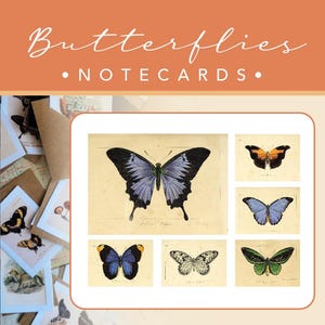 TARJETAS / Mariposas 02 / 6 Tarjetas + 6 Sobres