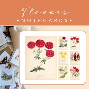NOTIZKARTEN | Blumen | 6 Karten + 6 Umschläge