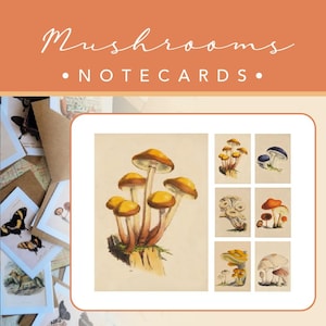 CARTÕES DE NOTAS | Cogumelos | 6 Cartões de Notas + 6 Envelopes de Artesanato