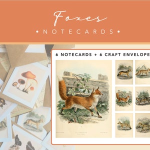 Pacote com 6 cartões Fox | 6 cartões + 6 envelopes