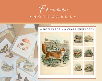 6pk Fox Notecards | 6 Cards + 6 Envelopes