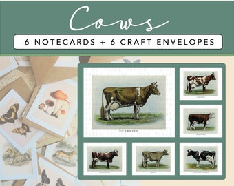 6 cartes de correspondance vache | 6 Cartes + 6 Enveloppes