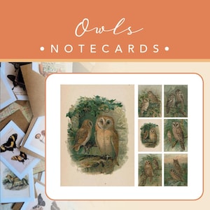 NOTECARDS | Corujas | 6 Cartões + 6 Envelopes Artesanais | Coleção 01