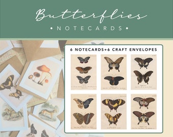 6pk Butterfly Notecards | 6 Cards + 6 Envelopes