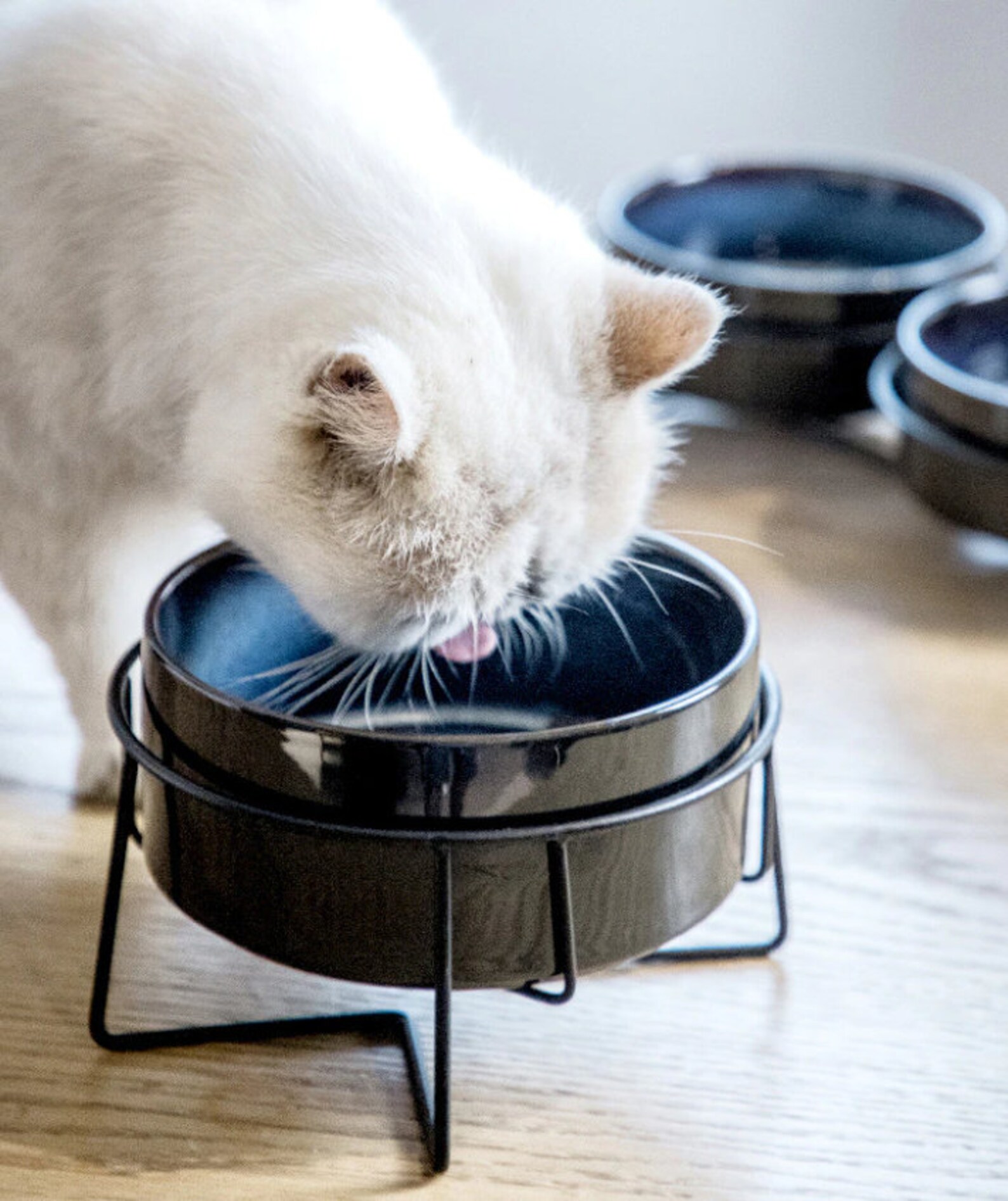 Schwarze Keramik Hundeschale Keramik Hund Essen Schale mit Etsy