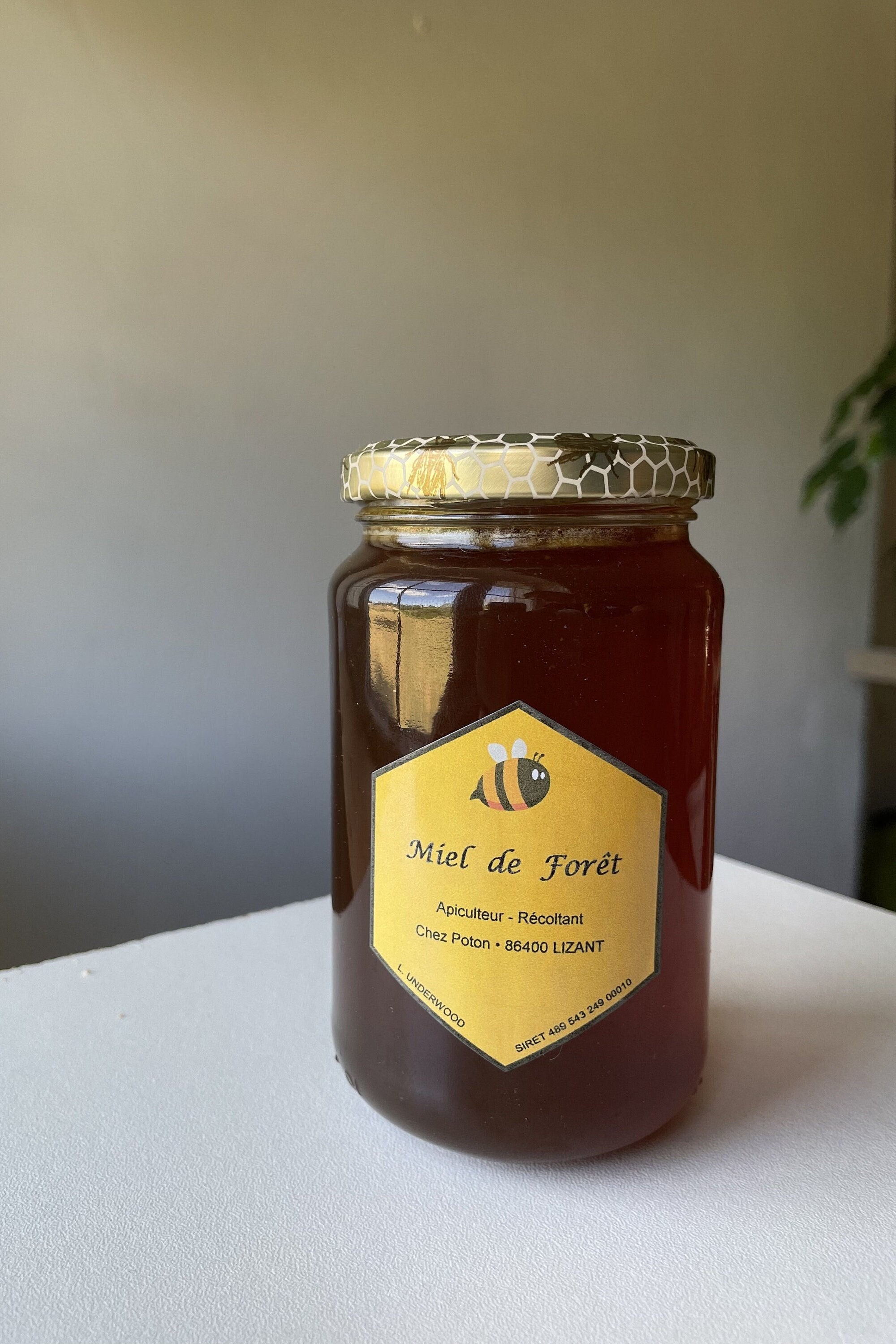 Pot de Miel Forêt | 500G