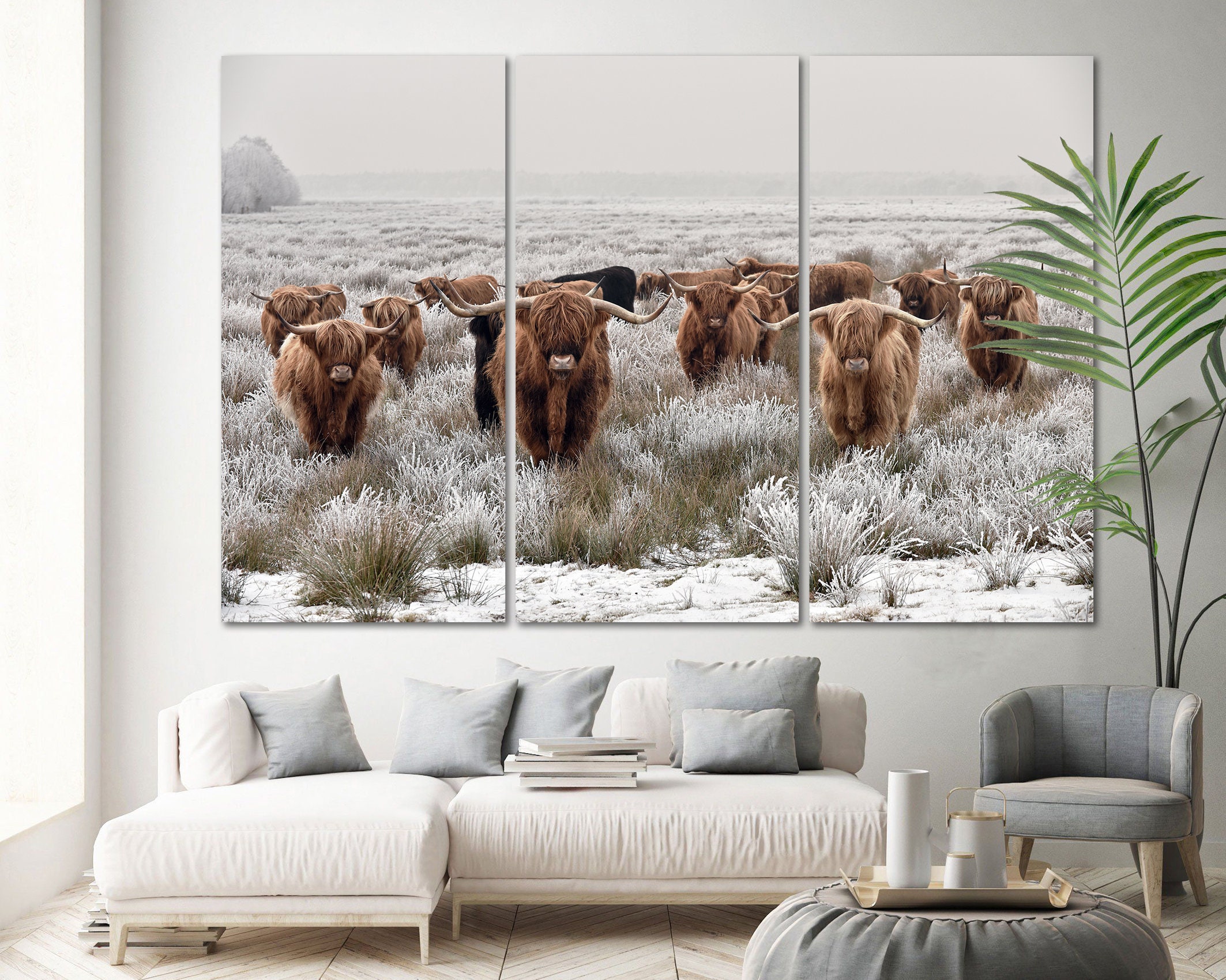 Highland Cattle Wall Art Canvas Shaggy Cow Wall Art Printed Scottish