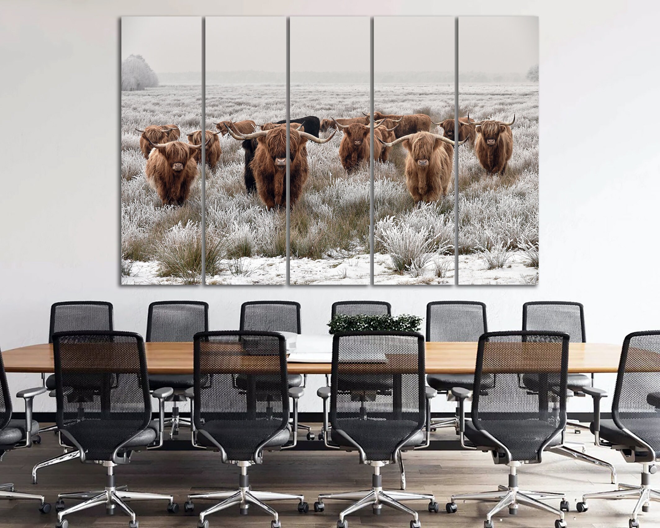 Highland Cattle Wall Art Canvas Shaggy Cow Wall Art Printed Scottish
