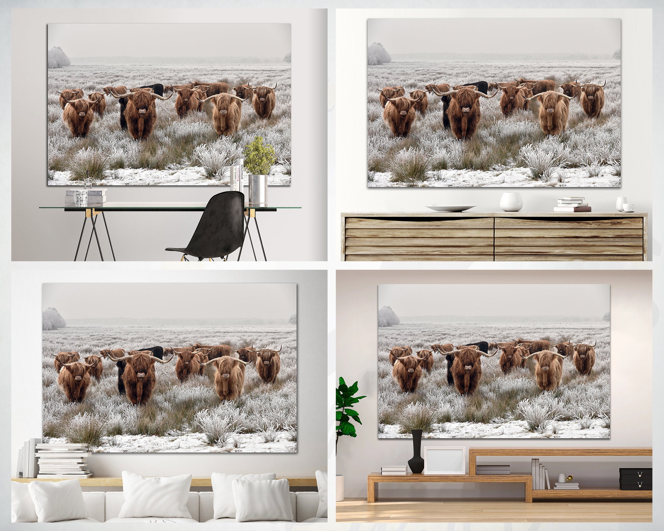 Highland Cattle Wall Art Canvas Shaggy Cow Wall Art Printed Scottish