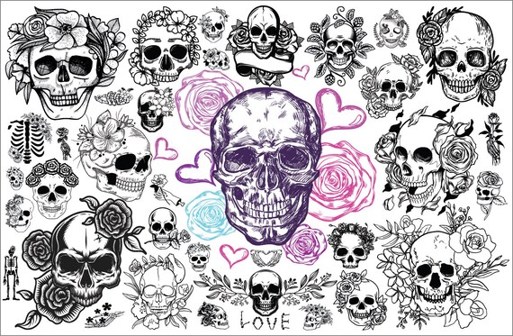 SKULL SVG, Skull Bundle Svg, Skull Silhouette, Skull Head Svg, Floral Skull Svg, Skull Outline Svg, Sugar Skulls Svg, Skull Flower Svg - Png