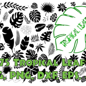 TROPICAL LEAFS BUNDLE Svg, Tropical Leaves Svg,  Palm Leaves Svg, Jungle Leaves Svg, Party Decor , Tropical Leaves Silhouette