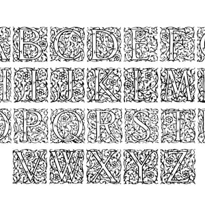 Könnte beinhalten: Schwarz-weiß-Illustration des Alphabets in einer dekorativen Schriftart. Jeder Buchstabe ist von einem floralen Design umgeben.