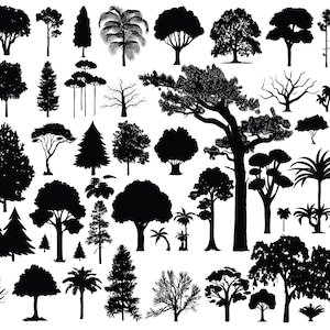TREE SVG - Pacchetto albero Svg - Pacchetto Svg sagoma albero - File tagliati albero per Cricut - File Svg foresta - Clipart albero - Silhouette albero palma