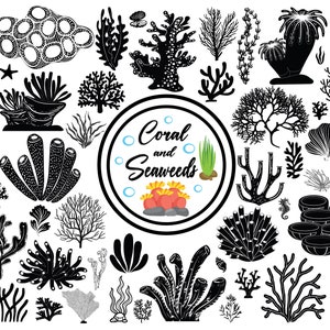 Zeewier Svg, koraal Svg, onder de zee Svg, planten Svg, mariene natuur, koralen bundel, zee Svg, bestanden voor Cricut en silhouet Svg, Oceaan Svg