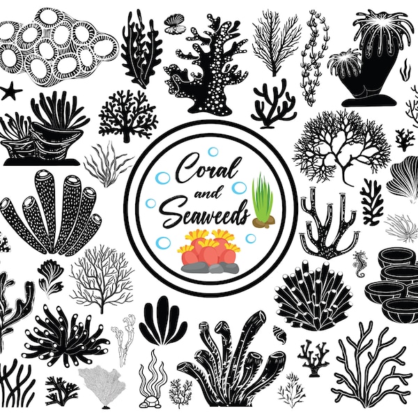 Seaweed Svg, Coral Svg, Under the Sea Svg, Plants Svg, Marine Nature, Corals Bundle, Sea Svg, Files for Cricut and Silhouette Svg, Ocean Svg