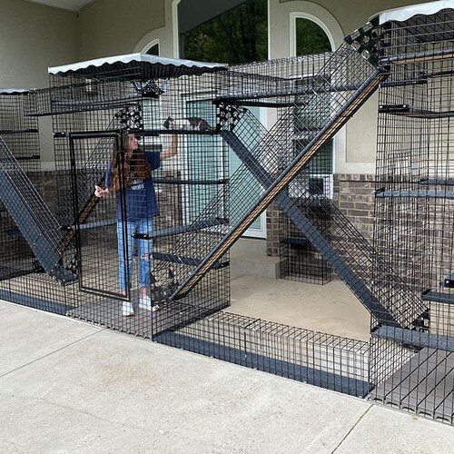 cheap outdoor cat enclosures
