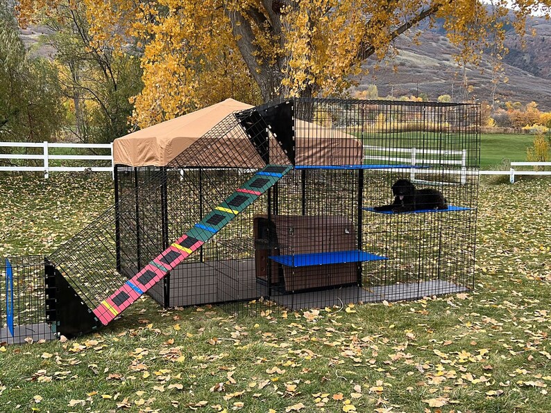 8' X 8' Welded Wire Kennel With Grand Ramp & Platform Maze Etsy