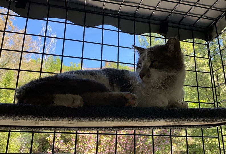 6piece Residential Retreat Catio Indoor & Outdoor Cat Enclosure, Pet