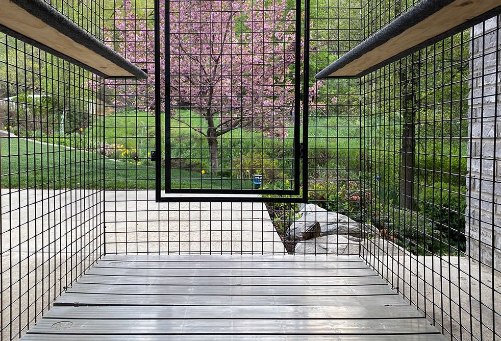 Outdoor cat run attached to best sale house
