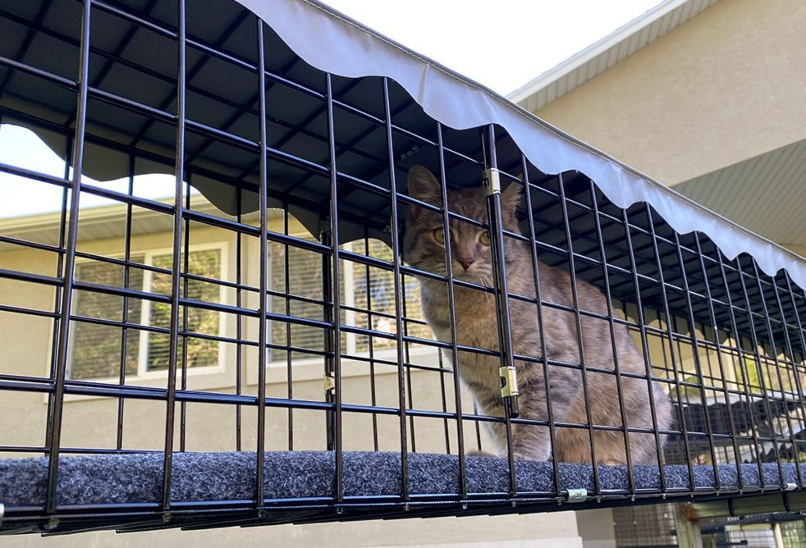 8piece Residential Retreat Catio Indoor & Outdoor Cat Enclosure, Pet