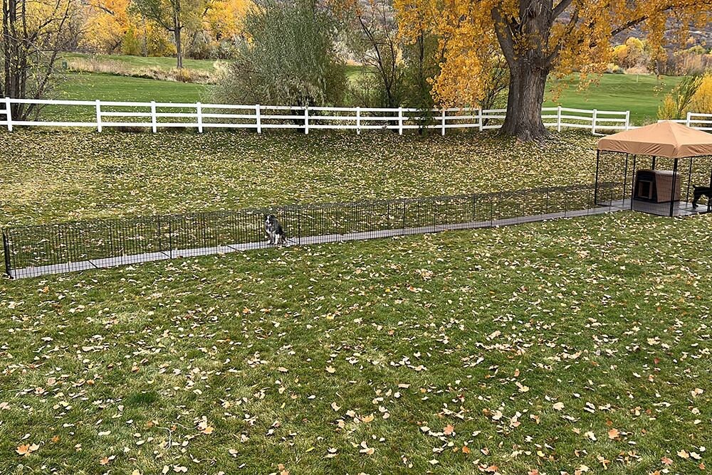 96 X 24 X 28 Tall Wire Dogio Tunnel With Raised Flooring - Etsy