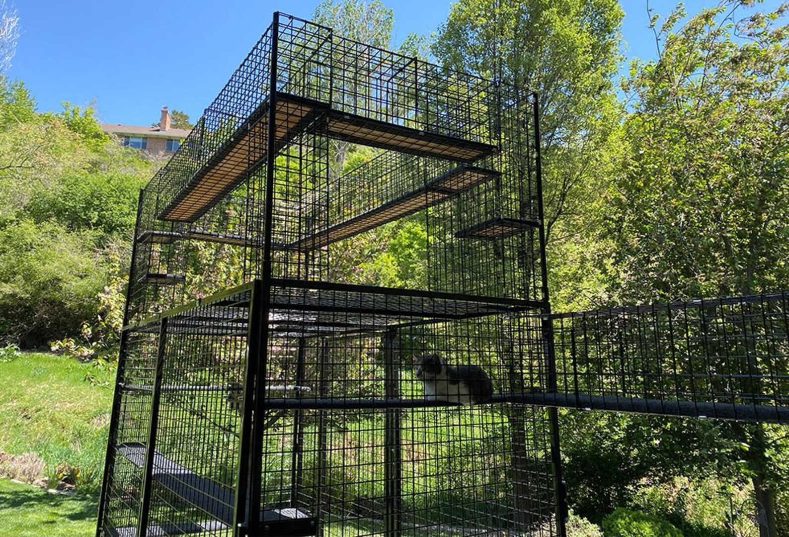 9piece Backyard Jungle Catio Indoor & Outdoor Cat Enclosure, Pet Enclosure, Cat Furniture, Pet