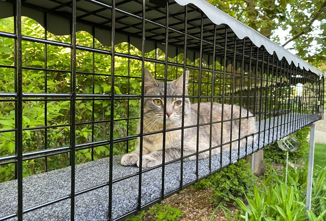 cheap catio for sale