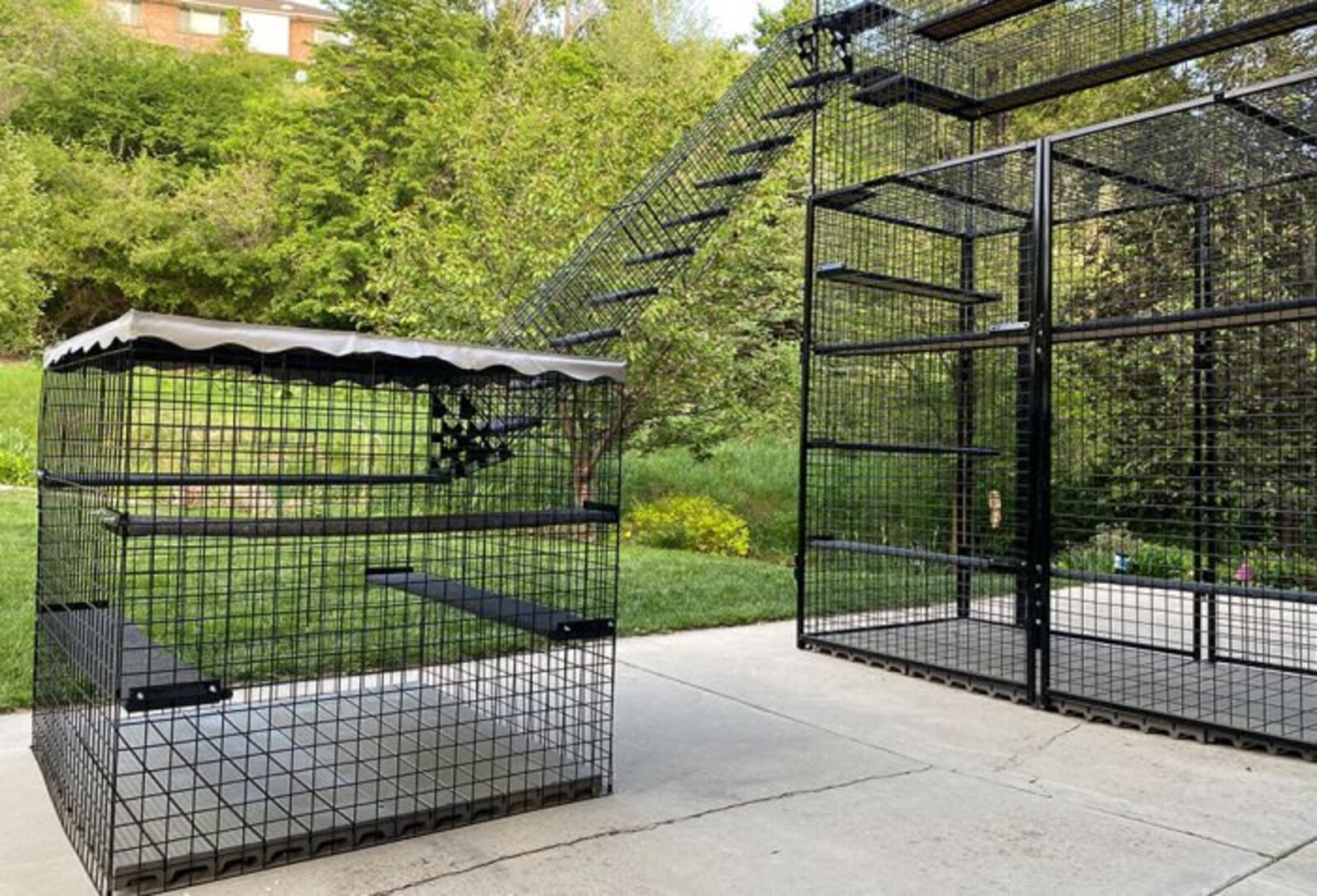 13piece Backyard Jungle Catio Indoor & Outdoor Cat Enclosure Etsy