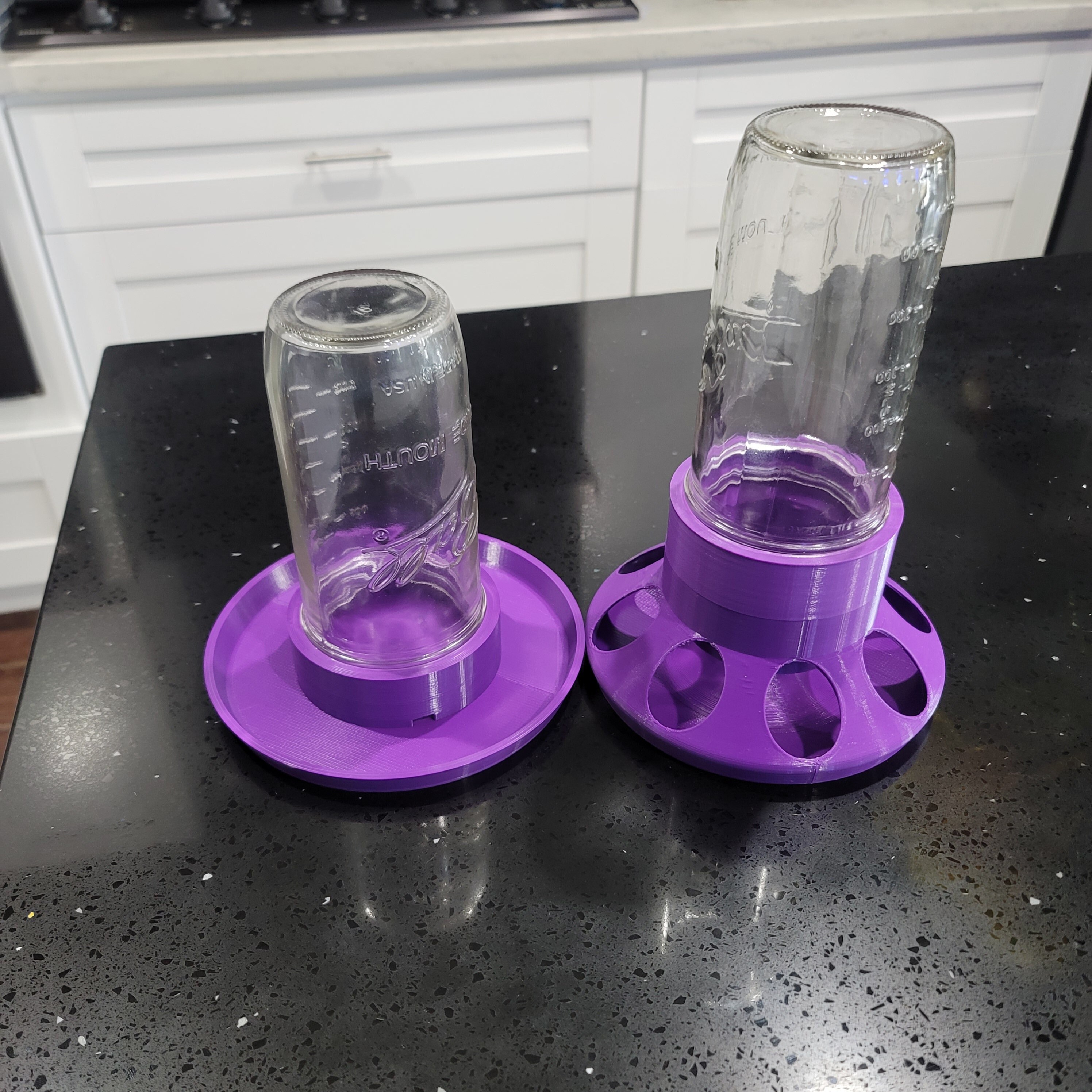 Quail Feeder Quail Water Chicken Feeder Chicken Water Quail