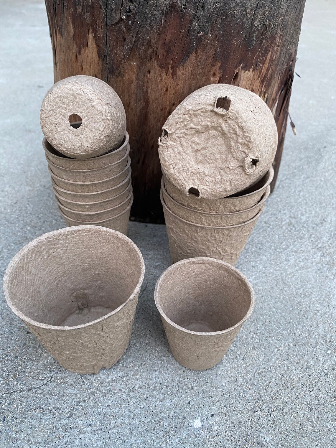 Peat Pots/Biodegradable Recycled Pulp Pots includes 10 Plant Etsy