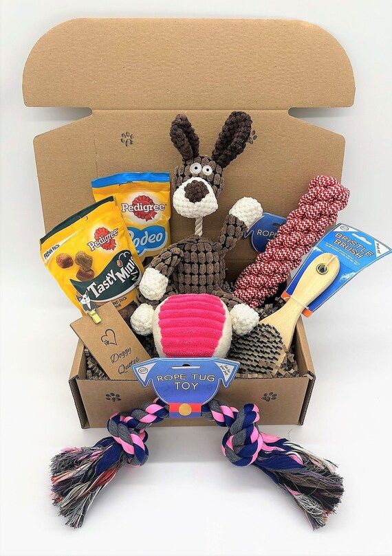 Unleashing the Christmas Cheer Dog Christmas Toy Boxes
