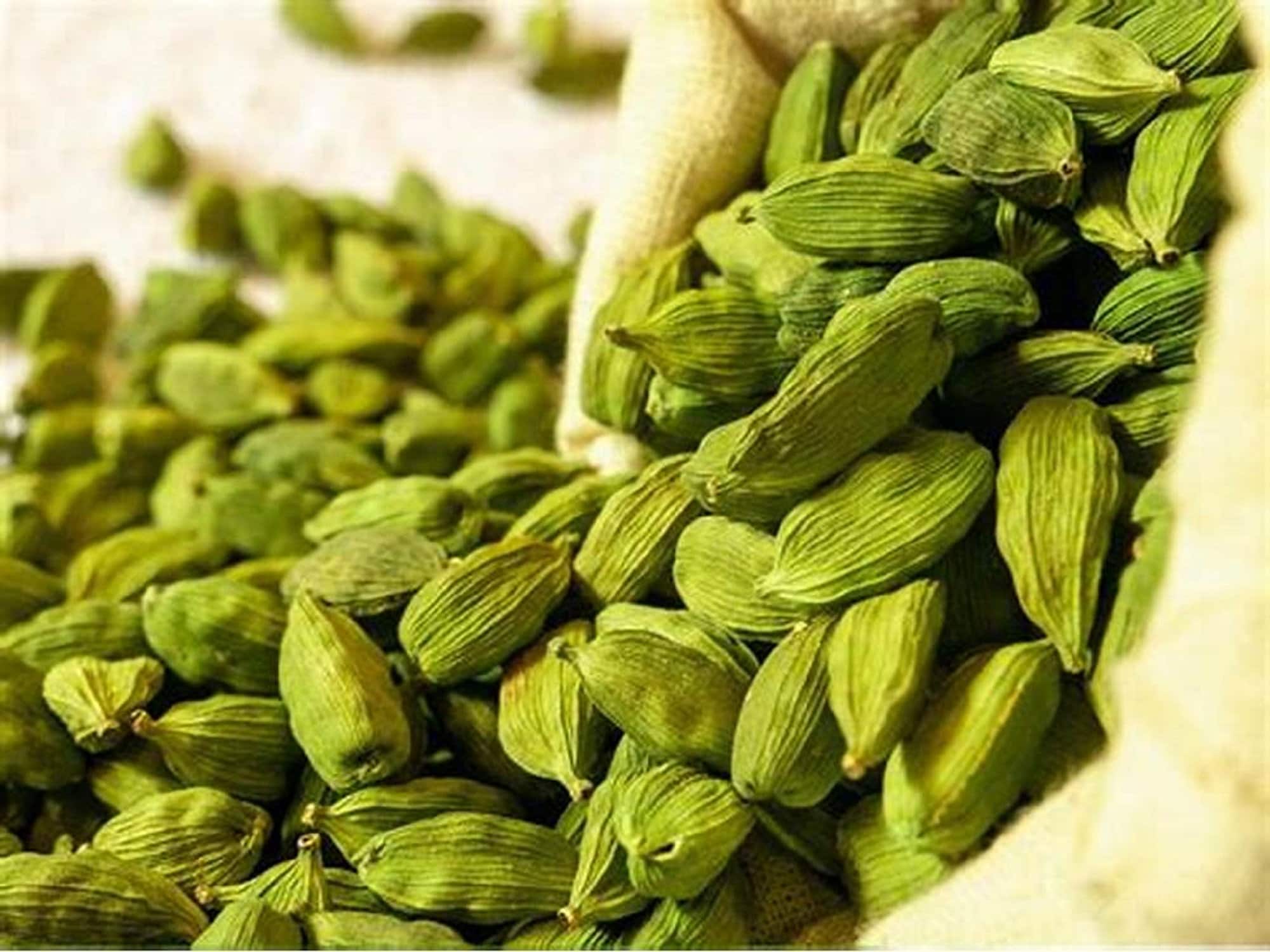 ZJ Green Cardamom Pods Premium Quality Perfect Indian Eilachi Etsy