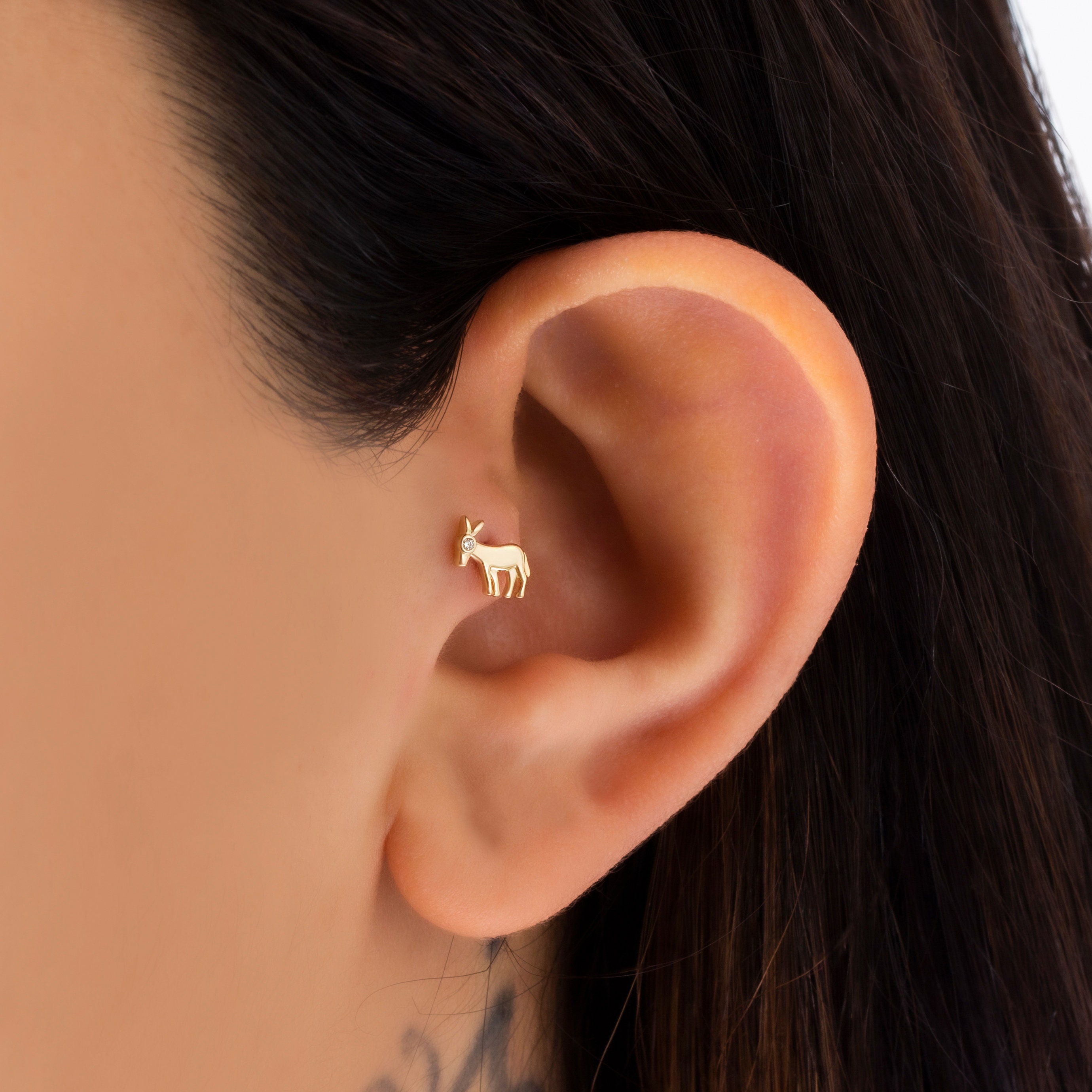 Donkey Piercing, Tragus Piercing, Daith Piercing, Gold Helix, Cartilage Piercing, Daith earring, Cartilage Hoop, Cartilage Clicker
