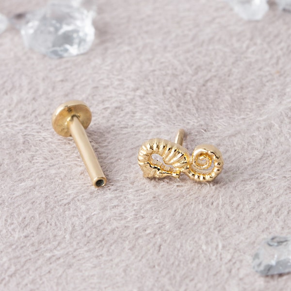 Seahorse Earrings Studs, Seahorse Piercing, Fun Earrings, Safety Pin Earrings, Cartilage Earrings, Threadless Earrings, Flat Back Earrings