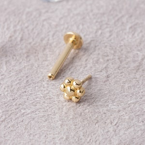 Flower Tragus Piercing, Helix Piercing, Cartilage Piercing, 14G, Tiny Flower, Tragus, Conch, Auricle, Philtrum, Auricle Piercing
