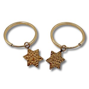 Gold Filled Star of David earrings