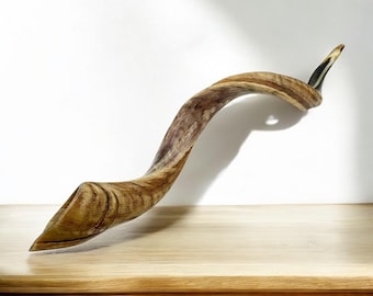 Shofar de kudú israelí hecho a mano / Cuerno ritual judío único en su tipo para Rosh Hashaná