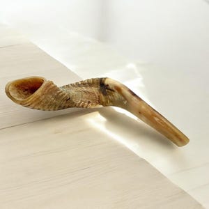 Authentic Handcrafted Ram’s Horn Shofar | Unique Kosher Judaica for Rosh Hashanah & Yom Kippur image 3