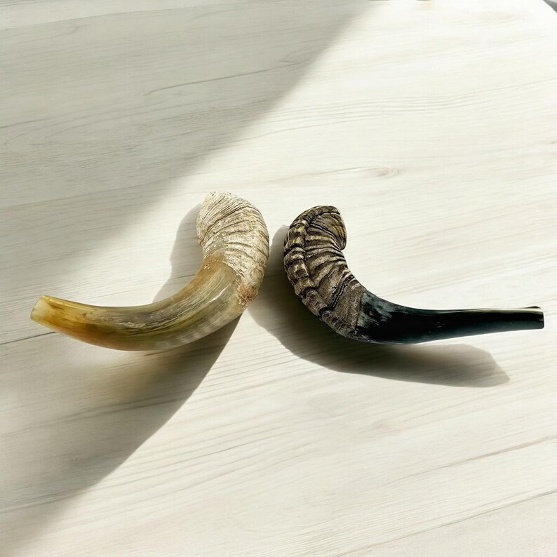 Authentic Handcrafted Ram’s Horn Shofar | Unique Kosher Judaica for Rosh Hashanah & Yom Kippur image 9