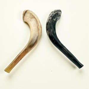 Authentic Handcrafted Ram’s Horn Shofar | Unique Kosher Judaica for Rosh Hashanah & Yom Kippur image 2