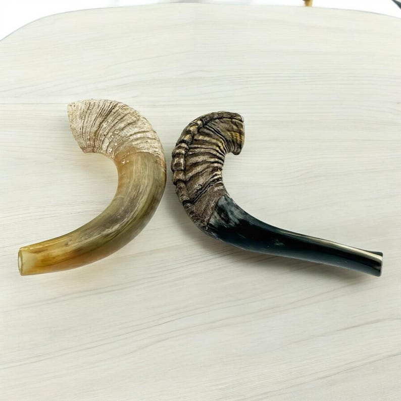 Authentic Handcrafted Ram’s Horn Shofar | Unique Kosher Judaica for Rosh Hashanah & Yom Kippur image 6