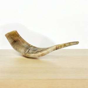 Authentic Handcrafted Ram’s Horn Shofar | Unique Kosher Judaica for Rosh Hashanah & Yom Kippur image 5