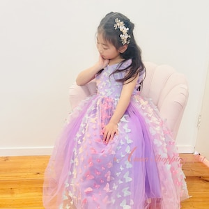 Girl dress butterfly top