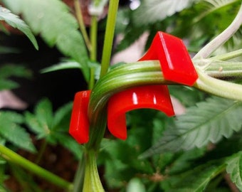 Low Stress Training Plant Training Clips (LST) 15x Clips 2 sizes Available