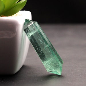 May include: A double-terminated green fluorite crystal point. The crystal is faceted with a polished finish, displaying internal veining and a translucent quality. The crystal is leaning against a white ceramic pot with a green plant.