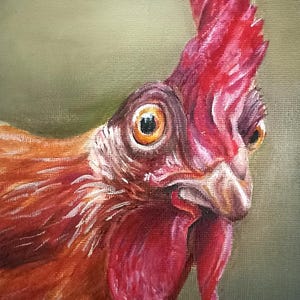 Poulet en colère. Peinture à l&#39;huile originale de 5 x 7 pouces sur toile. Encadré et signé.
